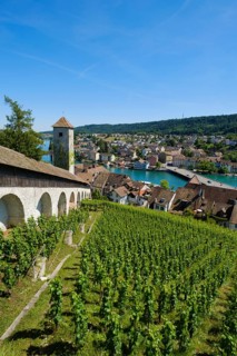 View of the Munot fortress and the town with the Rhine