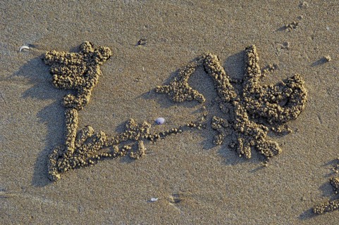 Sand spheres of the sand crab