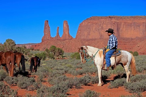 Navajo cowboy