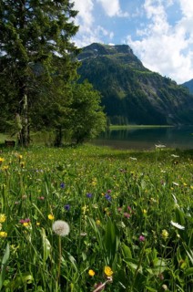 Vilsalpsee