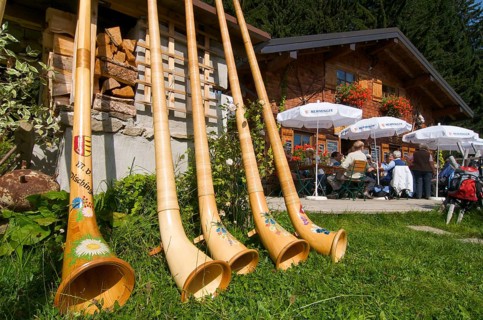 Alphorn blowers