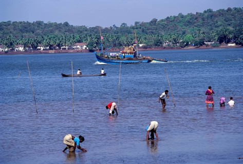 Searching in Mandovi River