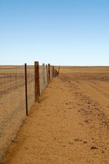 Part of the dingo fence