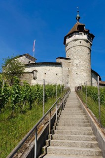 Munot town fortress