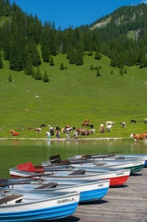 Vilsalpsee