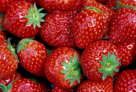 Garden strawberry