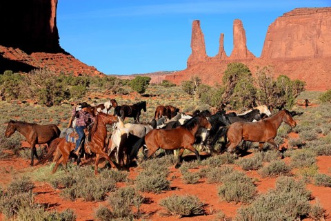 Navajo cowboy drives mustangs