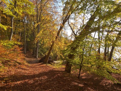 Autumn hiking trail on the Werder