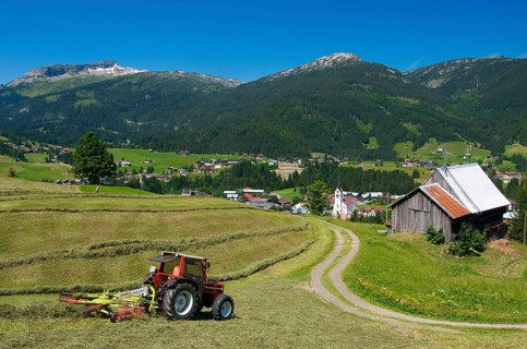 Hay harvest in Riezlern