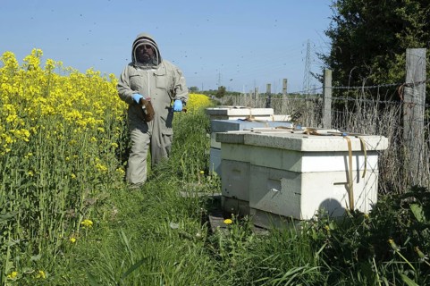 Beekeeper with smoker