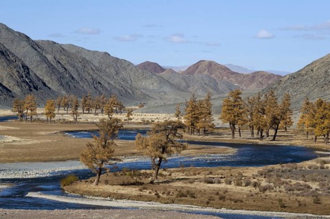 View of trees in autumn colours along the meandering riverbank
