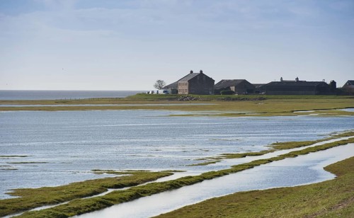 Sea-covered saltmarsh habitat and farm track