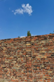 Wall