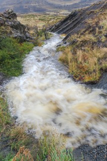 Stream