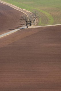Farmland with cultivated fields and road