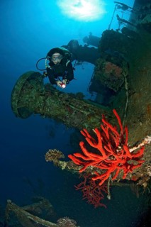 Diver at wreck Cesar Pride