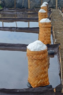 Sea salt harvested and packed for drying