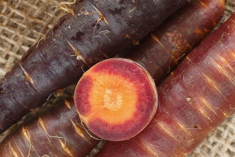 Carrot