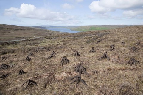 Drying firewood on moorland