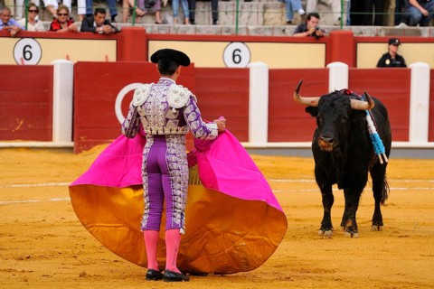 Bullfight