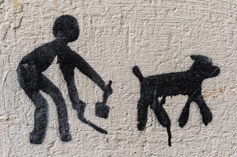 Warning sign No dog excrement on a wall