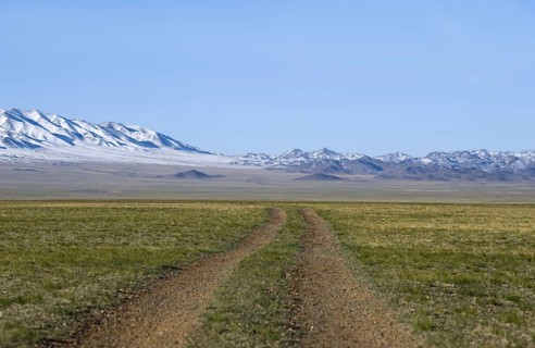 View of dirt road over steppe-grassland habitat
