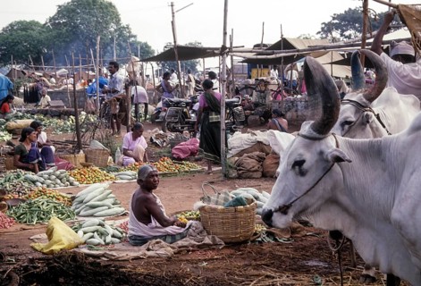 Weekly market in Thudiyalur