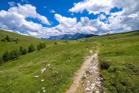 Postalm in the Salzkammergut