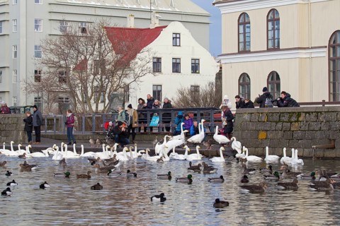 Parents with children feeding ducks