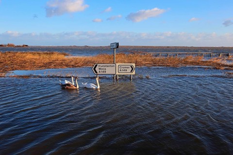 Flooded coastal road and coastal marsh after the surge