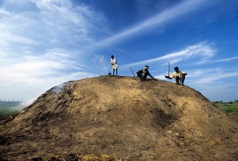 Preparation process for making charcoal from fire wood near Ramanathapuram