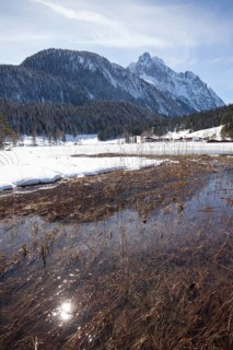 Winter landscape