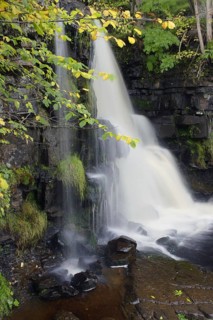 Waterfall in a woodland