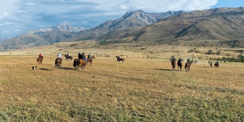 Traditional Kokpar or Buzkashi in the outskirts of Gabagly National Park