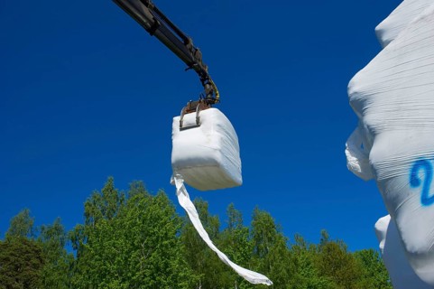 Plastic wrapped silage bales