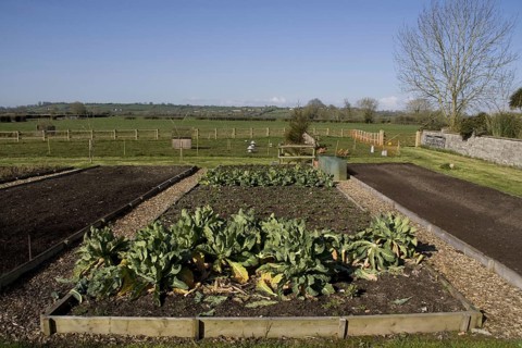 Raised vegetable beds. Early spring