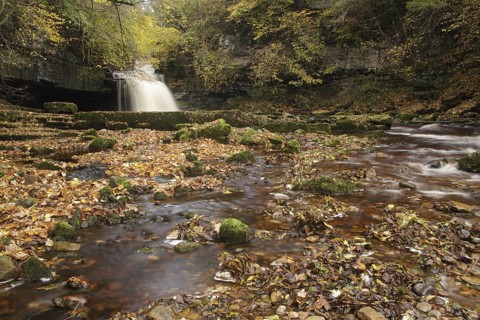 View of waterfall and autumn leaves