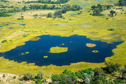 Okavango Delta