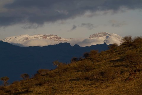 Kilimanjaro from Shira Plateau