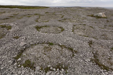 Frost polygons and other permafrost effects on Ordovician limestone