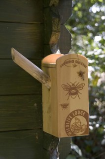 Bumblebee nesting box on garden shed