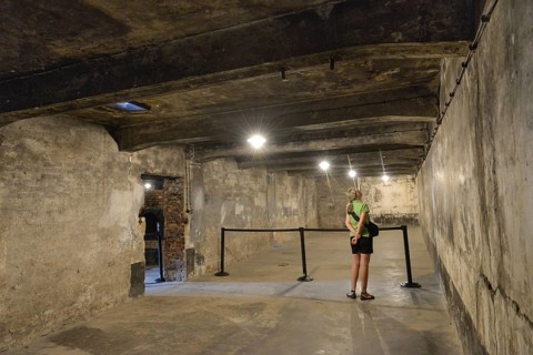 Gas chamber