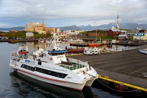 Harbour