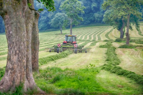 Tractor with tedder rowing grass in field with mature trees