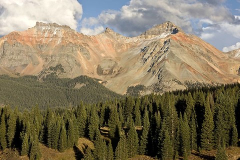 View across high forest habitat of white spruce