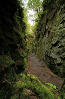 View of a deep chasm created by a massive landslide on the hillside