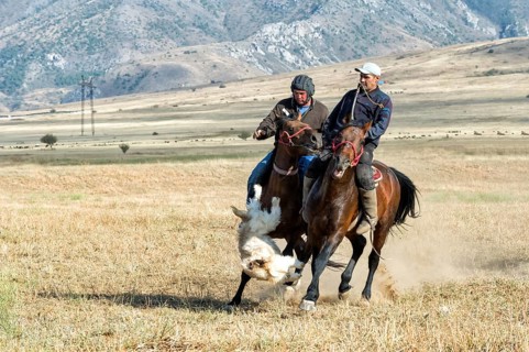 Traditional Kokpar or Buzkashi in the outskirts of Gabagly National Park