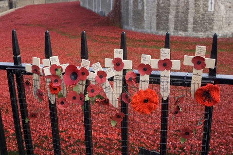 Remembrance poppies on railings beside art installation commemorating centenary of outbreak of World War One