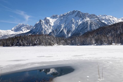 Winter landscape