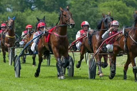 Horse racing